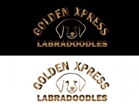Golden Xpress Labradoodles entry by Syachreza