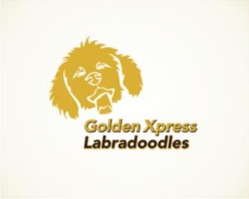 Golden Xpress Labradoodles entry by K.