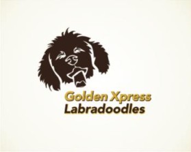 Golden Xpress Labradoodles entry by K.