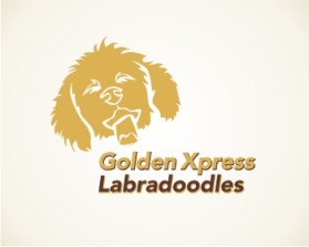 Golden Xpress Labradoodles entry by K.