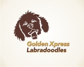 Golden Xpress Labradoodles entry by K.
