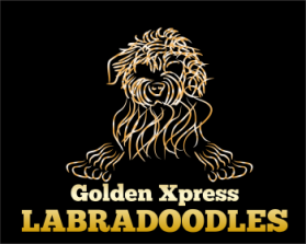 Golden Xpress Labradoodles entry by LagraphixDesigns