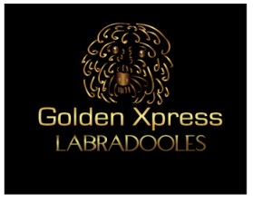 Golden Xpress Labradoodles entry by LogoGirl