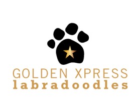 Golden Xpress Labradoodles entry by reding