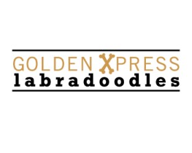 Golden Xpress Labradoodles entry by reding