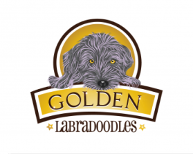 Golden Xpress Labradoodles entry by Lifedrops