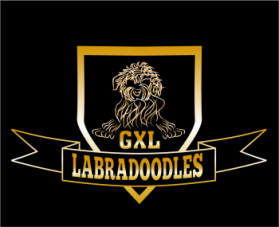 Golden Xpress Labradoodles entry by LagraphixDesigns