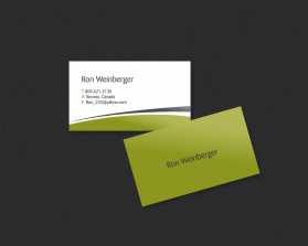 Ron Weinberger entry by rvdesign