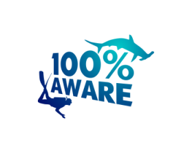 Project AWARE Foundation entry by scandalicious