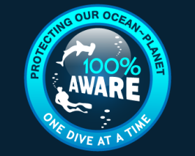 Project AWARE Foundation entry by machinemanart