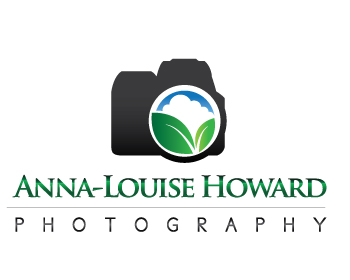 Logo Design for www.alhp.com.au