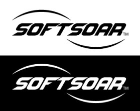 SoftSoar™ Flying Disc entry by jenmd77