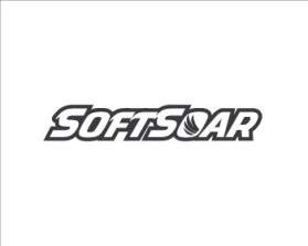 SoftSoar™ Flying Disc entry by JINKODESIGNS