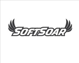 Winning entry: SoftSoar™ Flying Disc entry by JINKODESIGNS