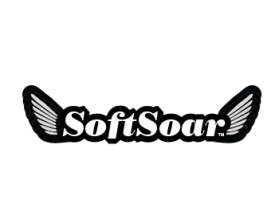SoftSoar™ Flying Disc entry by ovidius