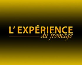L'exp&eacute;rience du fromage  entry by bornquiest