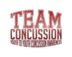 Winning entry: Team Concussion entry by Chris L Rogers