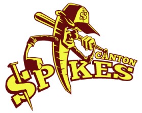 Logo Design entry 586915 submitted by john12343