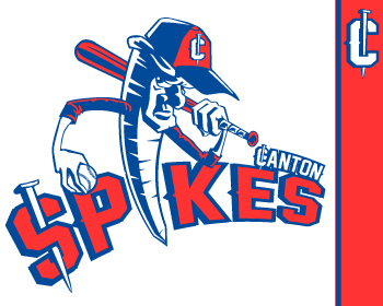 Logo Design entry 587136 submitted by john12343