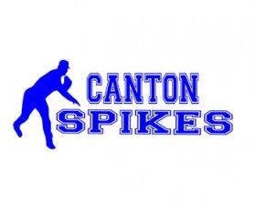 Logo Design entry 587155 submitted by quinlogo