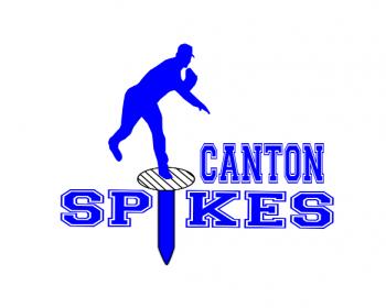 Logo Design entry 587519 submitted by quinlogo