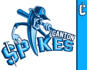 Logo Design entry 587921 submitted by john12343