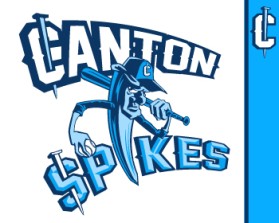 Logo Design entry 587922 submitted by john12343