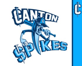 Logo Design entry 587933 submitted by john12343