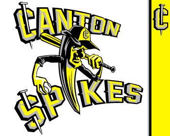 Logo Design entry 588351 submitted by john12343