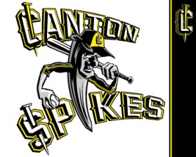 Logo Design entry 588479 submitted by john12343