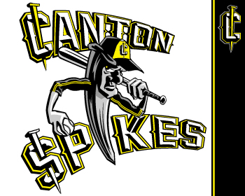 Logo Design entry 588479 submitted by john12343