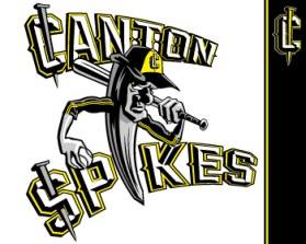 Logo Design entry 588484 submitted by john12343