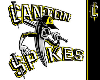 Logo Design entry 588484 submitted by john12343