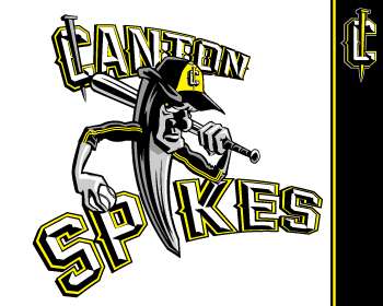 Logo Design entry 588937 submitted by john12343