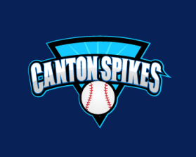 Logo Design entry 590096 submitted by greycrow