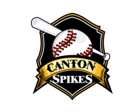 Logo Design entry 590824 submitted by madskill