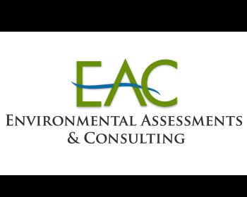 Logo Design entry 597503 submitted by ovidius