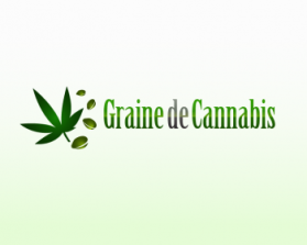 Graine de Cannabis entry by octopie