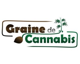 Graine de Cannabis entry by AVCDSGN