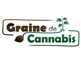 Graine de Cannabis entry by AVCDSGN