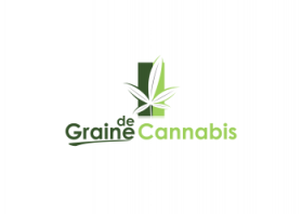 Graine de Cannabis entry by bowel_bijd