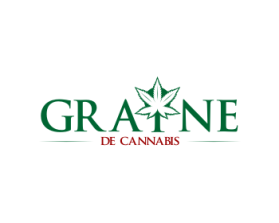 Graine de Cannabis entry by Widodo