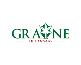 Graine de Cannabis entry by Widodo
