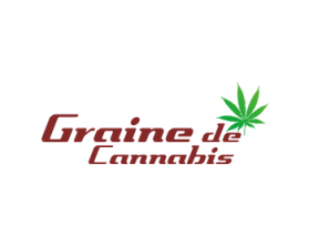 Graine de Cannabis entry by lurth