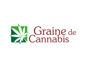 Graine de Cannabis entry by lurth