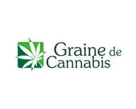Graine de Cannabis entry by lurth