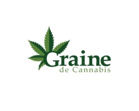 Graine de Cannabis entry by rekakawan