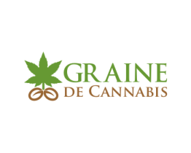 Graine de Cannabis entry by Widodo