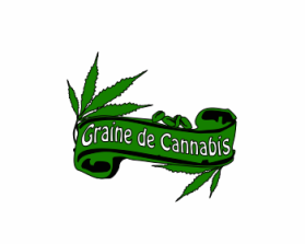 Graine de Cannabis entry by sambel09