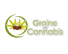 Graine de Cannabis entry by elevenz